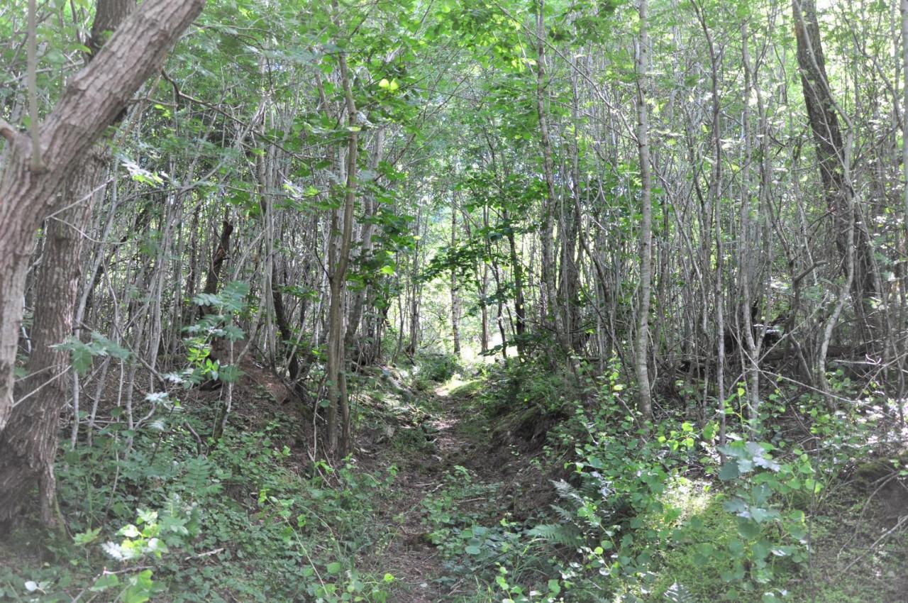 Sandfallet Glamping Laholm Εξωτερικό φωτογραφία