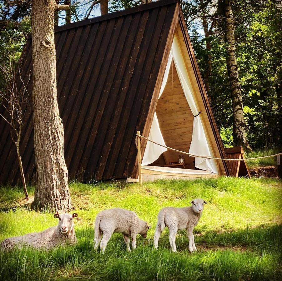 Sandfallet Glamping Laholm Εξωτερικό φωτογραφία